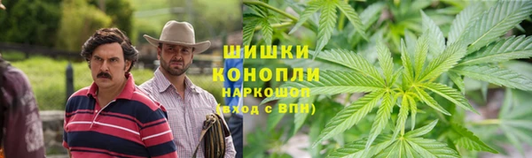 ПСИЛОЦИБИНОВЫЕ ГРИБЫ Аркадак