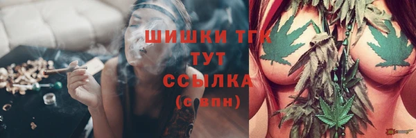 твердый Армянск