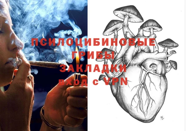 ПСИЛОЦИБИНОВЫЕ ГРИБЫ Аркадак