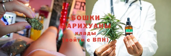 ПСИЛОЦИБИНОВЫЕ ГРИБЫ Аркадак