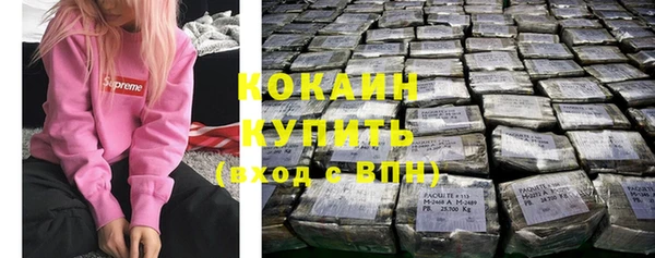 ПСИЛОЦИБИНОВЫЕ ГРИБЫ Аркадак