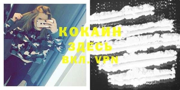 ПСИЛОЦИБИНОВЫЕ ГРИБЫ Аркадак