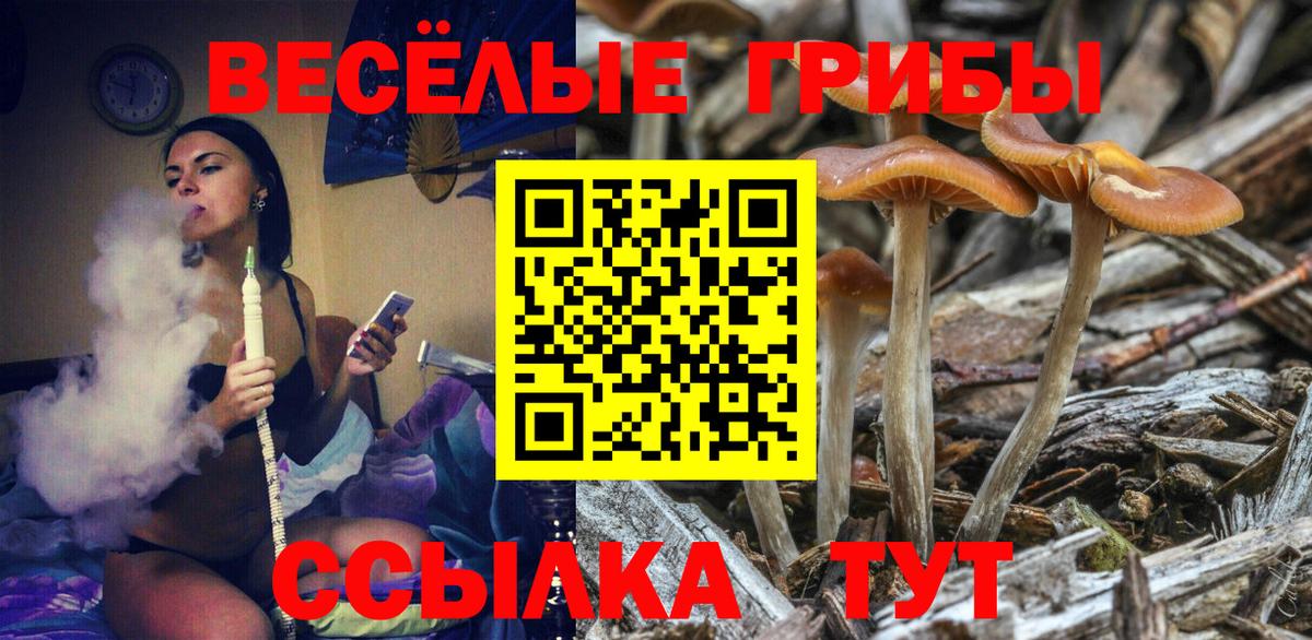 Галлюциногенные грибы мицелий  купить  цена  Галлюциногенные грибы MAGIC MUSHROOMS  Видное  Вход с VPN 