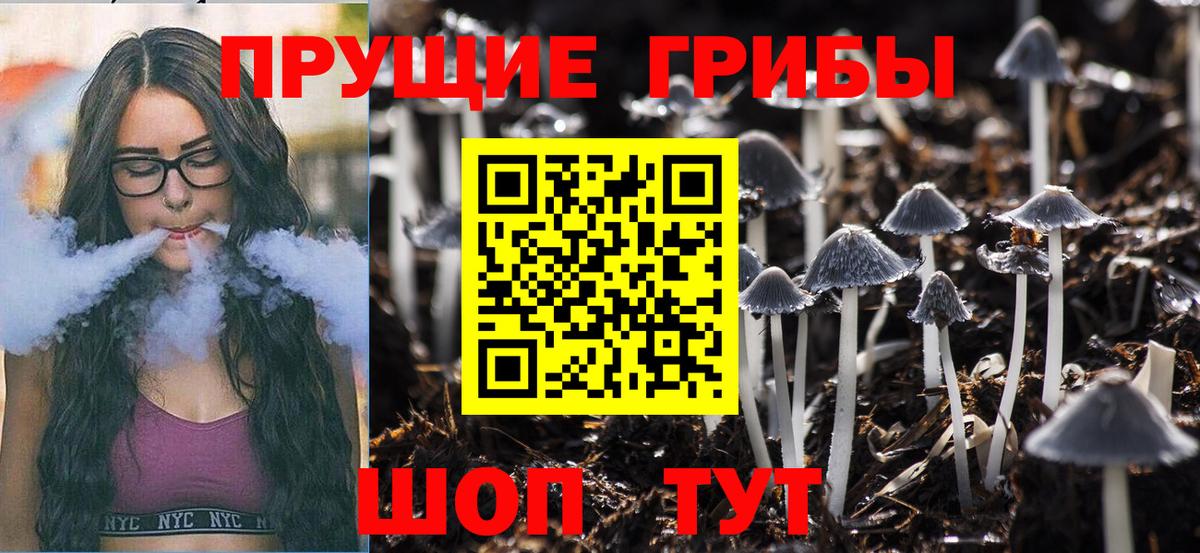 Галлюциногенные грибы мицелий  Видное  Псилоцибиновые грибы Psilocybine cubensis 