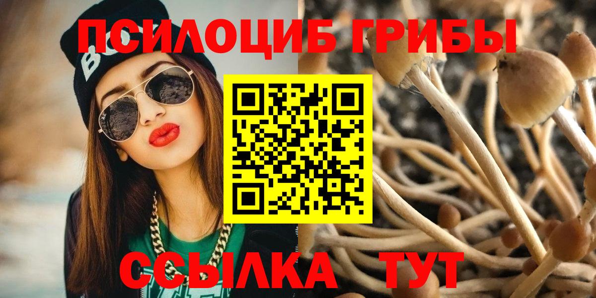 Псилоцибиновые грибы Видное