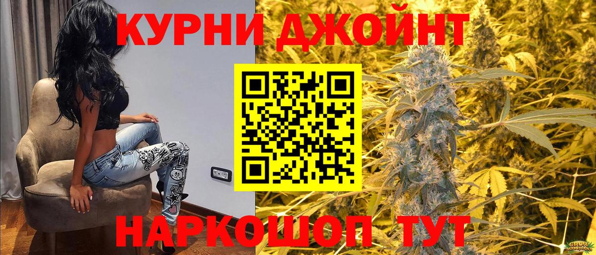 Бошки Шишки OG Kush  Видное  Канабис семена  Каннабис Ganja  Каннабис план 